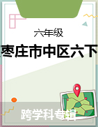 山东省枣庄市市中区2022-2023学年六年级下学期期中达标检测试题