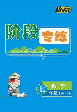 2022-2023學(xué)年七年級上冊初一數(shù)學(xué)【導(dǎo)與練】初中同步練案階段專練（青島版）