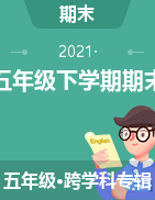 陕西省榆林市2020-2021学年五年级下学期期末试题