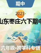 山东省枣庄市市中区2022-2023学年六年级下学期期中达标检测试题