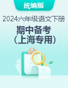 2024年六年级语文下册期中备考分类汇编（上海专用）