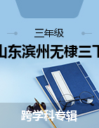 山東省濱州市無棣縣2022-2023學(xué)年三年級下學(xué)期期中考試試題