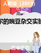 孟德爾的豌豆雜交實(shí)驗(yàn)（二）課件