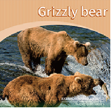 Grizzly bear