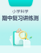 小學(xué)科學(xué)期中知識點串講（多版本）：2024-2025學(xué)年小學(xué)科學(xué)期中復(fù)習(xí)講練測