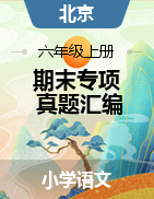 两年（2021-2022）六年级语文上册期末真题汇编（北京专用）