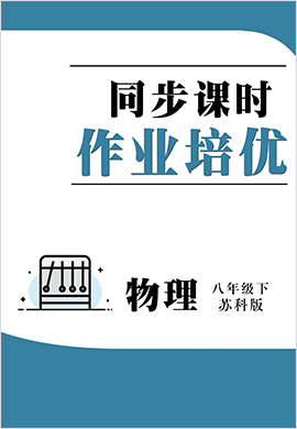 2021-2022學(xué)年八年級(jí)下冊(cè)初二物理同步課時(shí)培優(yōu)作業(yè)(蘇科版)