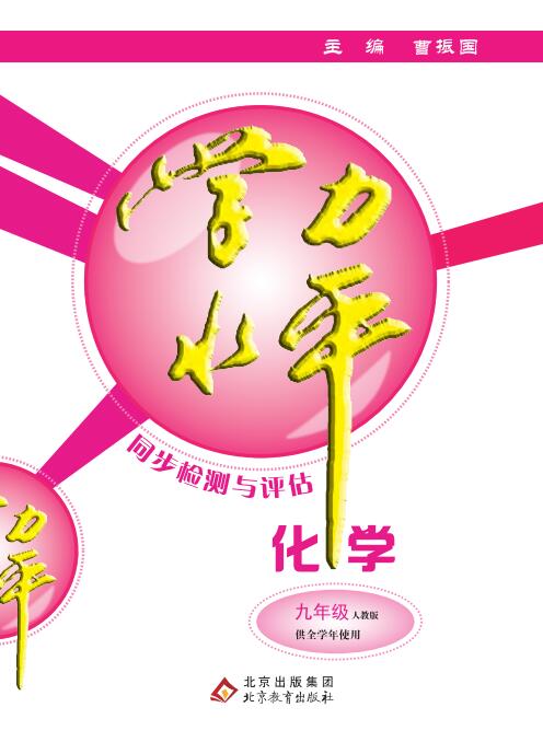 【學(xué)力水平同步檢測與評估】2023秋九年級化學(xué)全一冊(人教版)