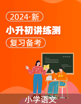 2024年小升初语文复习讲练测（统编版）