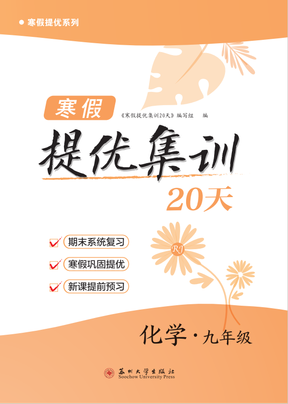 【寒假提優(yōu)集訓】2024-2025學年新教材九年級化學20天（人教版2024）