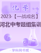 【一战成名】 2023河北中考化学优质模拟题