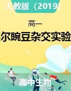 必修2--第一章孟德爾豌豆雜交實(shí)驗(yàn)課件2021-2022學(xué)年高一下學(xué)期生物人教版必修2