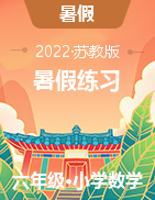 【暑假20日強(qiáng)化練】新蘇教版2021-2022學(xué)年六下數(shù)學(xué)