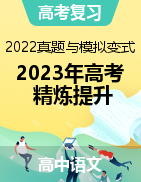 2023年高考语文精炼提升（2022真题+模拟变式）