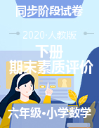 江西省赣州市寻乌县数学六年级下学期期末素质评价（10） 2019-2020学年（人教版，含答案）