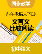 2022-2023學(xué)年八年級(jí)語文下冊(cè)文言文比較閱讀試題（部編版）