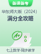 2024-2025學年七年級數(shù)學上冊考試滿分全攻略同步備課備考系列（華東師大版2024）