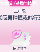 2024-2025學(xué)年二年級上冊勞動《簡易種植我能行》（教案+課件）粵教版