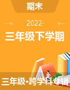 海南省陵水县2021-2022学年三年级下学期期末检测试题