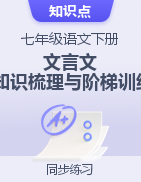 2022-2023學(xué)年七年級(jí)語(yǔ)文下冊(cè)文言文知識(shí)梳理與階梯訓(xùn)練（部編版）