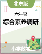 北京地区2023-2024学年六年级数学上册综合素养调研卷二（北京版）
