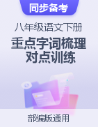 2022-2023學年八年級語文下冊重點字詞梳理與對點訓練（部編版）