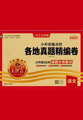 【王朝霞系列】2025年小升初语文重点校各地真题精编卷