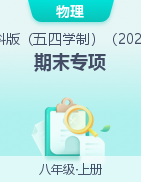 2024-2025學(xué)年八年級(jí)上冊(cè)物理期末專項(xiàng)（魯科版（五四學(xué)制）2024）