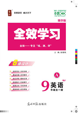 【全效学习】2023-2024学年九年级全册英语期末综合复习课件及教参（人教版）  