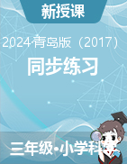 2024-2025學年三年級上冊科學同步練習（青島版）