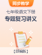 2022-2023學年七年級語文下冊專題復(fù)習講義（部編版）