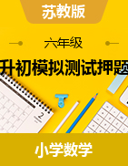 江苏省小升初模拟测试押题卷（试题）2023-2024学年六年级下册数学苏教版