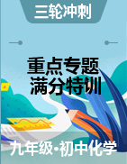 2021年中考化学复习重点专题满分特训