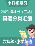 2022-2023学年江苏省小升初真题分类汇编（译林版三起）