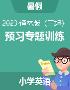 2023年江苏省三-六年级英语暑假预习专题训练 译林版（三起）