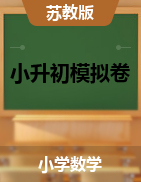 2023年江苏省南通市小升初数学模拟卷（南通专版，苏教版）