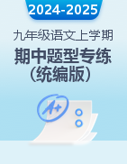 2024-2025學(xué)年九年級語文上學(xué)期期中復(fù)習(xí)題型專練(統(tǒng)編版）