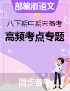 2022-2023學(xué)年八年級下冊語文期中期末考試高頻考點專題訓(xùn)練