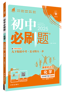 【初中必刷題】2024-2025學(xué)年新教材九年級下冊化學(xué)同步課件(魯教版2024) 