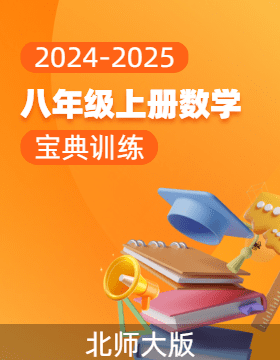 【寶典訓練】2024-2025學年八年級上冊數(shù)學高效課堂(北師大版)