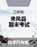 湖北省恩施土家族苗族自治州來鳳縣2020-2021學年三年級下學期期末考試試題