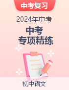 备战2024年中考语文专项精练（山东济南专用）