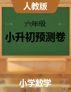 六年级下册数学试题 - 浙江省温州市2021年小升初预测试卷- 人教版（含答案）