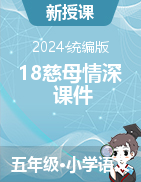 2024-2025學(xué)年語(yǔ)文五年級(jí)上冊(cè)18慈母情深課件（統(tǒng)編版）