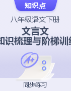 2022-2023學(xué)年八年級(jí)語(yǔ)文下冊(cè)文言文知識(shí)梳理與階梯訓(xùn)練（部編版）