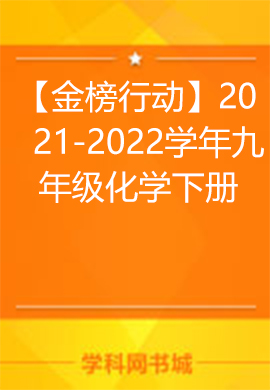 【金榜行動(dòng)】2021-2022學(xué)年九年級(jí)化學(xué)下冊(cè)習(xí)題課件（人教版）