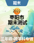 湖北省襄阳市枣阳市2021-2022学年三年级下学期期末水平测试试题