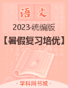 2023年八年級下冊初二語文【暑假復習培優(yōu)】部編版