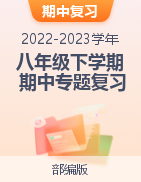 2022-2023学年八年级语文下学期期中专题复习（广东专用）