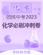 【领扬中考】2023河南中考化学必刷冲刺卷
